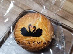 -BLACKSWAN黑天鹅(环球店)