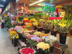 -大自然花鸟鱼虫市场