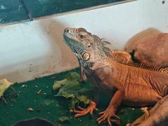 -泉州海丝野生动物世界