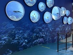 -上海中国航海博物馆