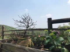 -远山有窑
