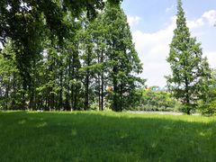 窗外景致-EN SPACE恩空间