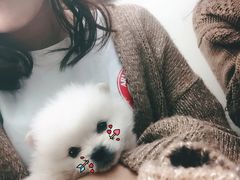 -芭比堂动物医院·犬猫全科·异宠专科(雁塔分院)