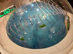 -哈尔滨工业大学-博物馆