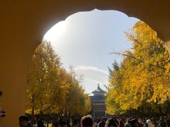 -北门涮肉·炭火铜锅涮肉(什刹海店)