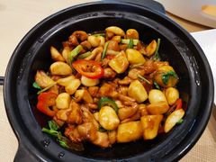 -顺德美的万豪酒店-万豪中餐厅