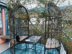 -喵屿·大理花园猫咖