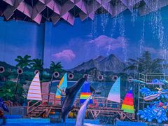 -海合安武汉极地海洋公园