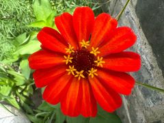 -漪龙台·B26 Rooftop Lounge