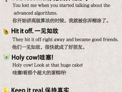 -新东方斯芬克艺术留学作品集培训(郑州校区)