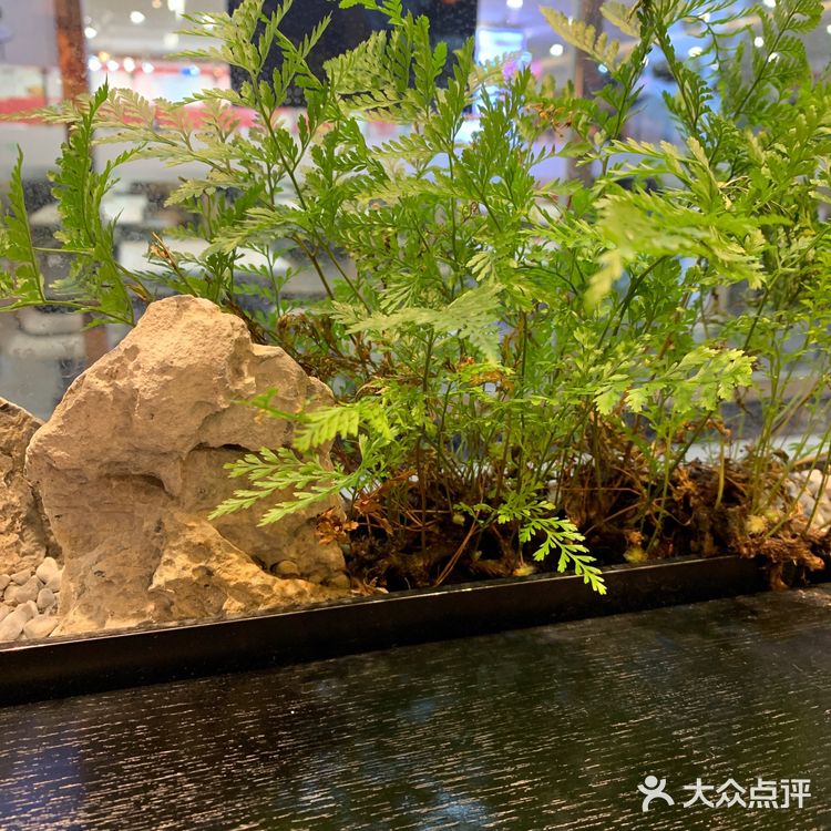 我在附近上班，天气不错