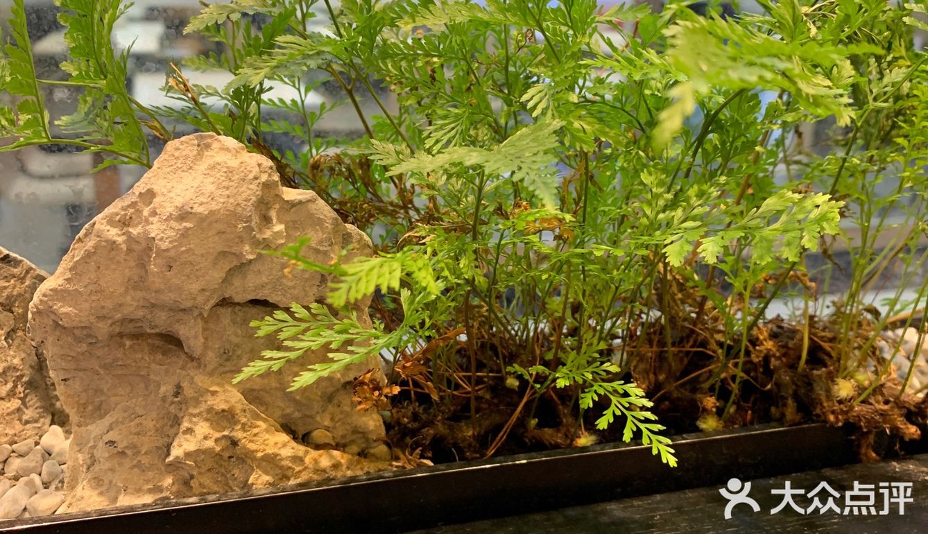 我在附近上班,天气不错