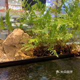 我在附近上班,天气不错