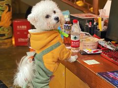 -E+有冰工厂·昆仑寒宫2(五角场店)