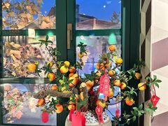 -1937青岛老味道·海肠捞饭·青岛菜(大鲍岛栈桥店)