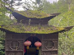 -峡谷浮石林景区