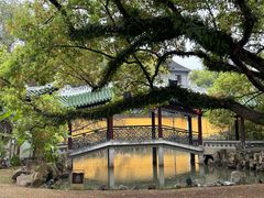 -江心屿景区