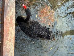 -昆山城市生态森林公园