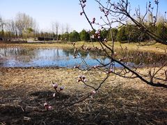 -东郊湿地公园