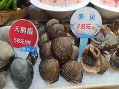 -福娣·金沙银贝海鲜火锅