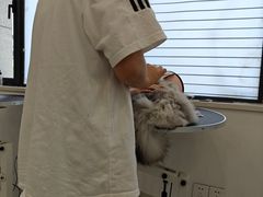 -老吴的猫·猫舍(新区店)