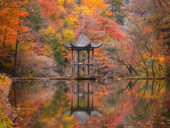 -叠溪松坪沟景区