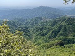 -六里坪国家森林公园