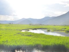 -泸沽湖国家级风景名胜区走婚桥