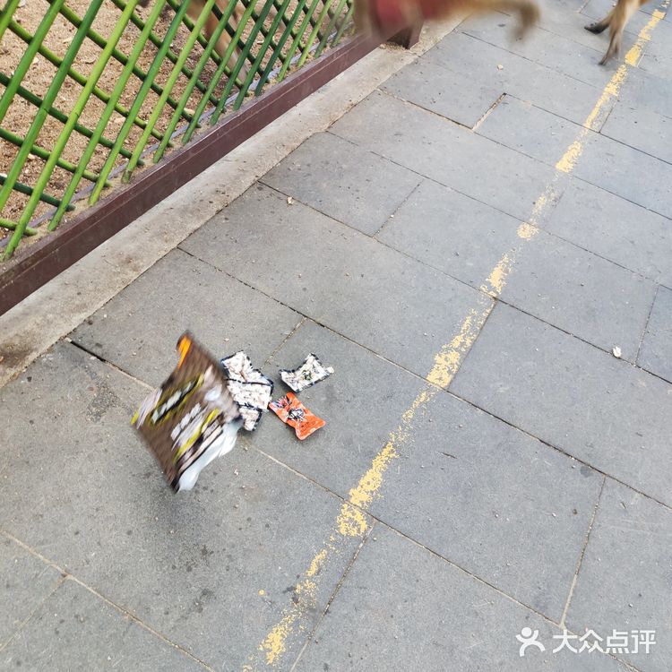 猴岛，万宁市陵水黎族自治县