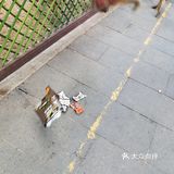 猴岛，万宁市陵水黎族自治县