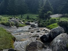-芦芽山旅游度假区