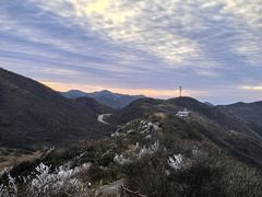 -大围山国家森林公园