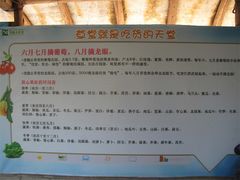 IMG_0638-茂德公草堂