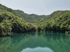 -龙坞茶村