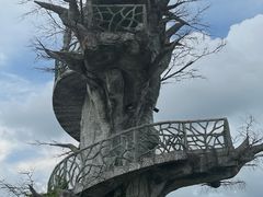 -芒洲湿地公园