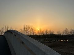 -东郊湿地公园