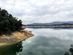 -广州市流溪河国家森林公园