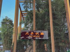 -北平机器Peiping Machine(百子湾店)