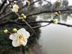 -桃园农庄·桃源宴