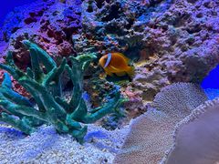 -上海海洋水族馆