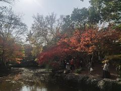 -秋霞圃