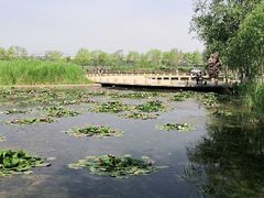 -绿堤公园