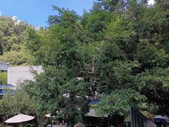 -广东温泉宾馆