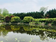 -嘉定紫藤园