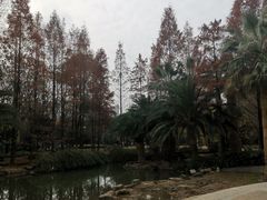 -苏州河梦清园环保主题公园