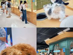 -帕帕拉兹宠物(亚洲旗舰店)