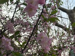 -钱记包子糕团