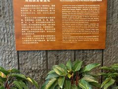 -南越王博物院(王宫展区)