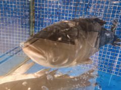 -香山湖渔家大院