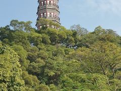 -顺峰山公园